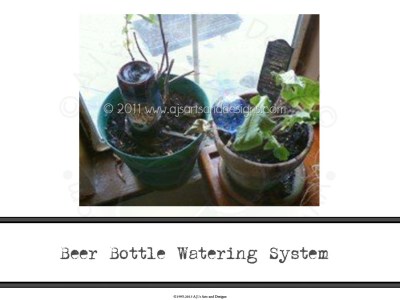 Beer Bottle Watering System