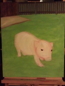 Working on the Chicken Coop