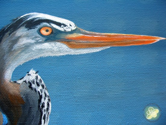 Great Blue Heron Close Up