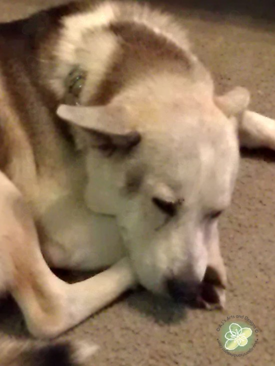 All rights reserved - A.J.'s Arts and Designs