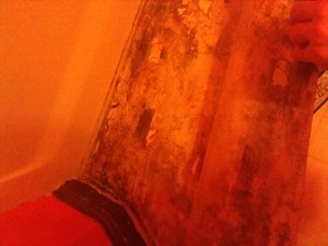 The lovely mold that I discovered around the tub.
