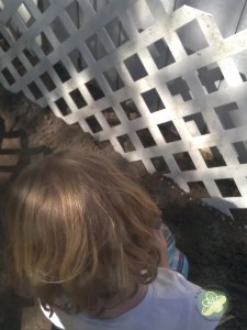 All rights reserved - A.J.'s Arts and Designs