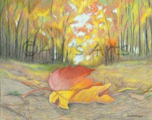 This is a Color Pencil Drawing I did in 2010.