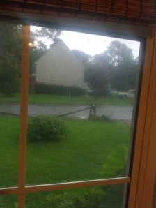 The jasmine plant remove but you can see ant-topolis around the mail box