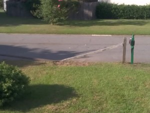 AFTER! Now we need to get a fence post to fix the fence.