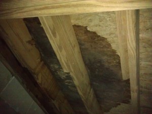 Hoping we don need new floor joists.