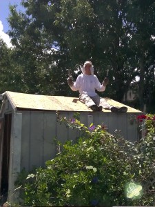 Day 2 - removing nails from the roof so it the roof will come down