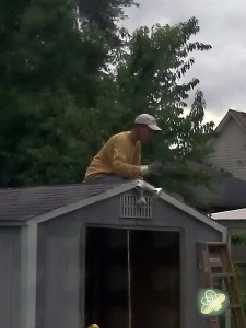 Starting on the shed