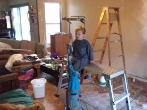 Booga digging the jungle gym that the neighbor brought over