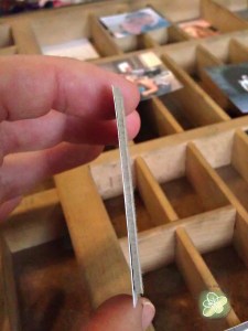 All rights reserved - A.J.'s Arts and Designs