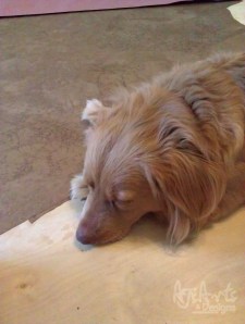 2013-08-12 09.31.50 2