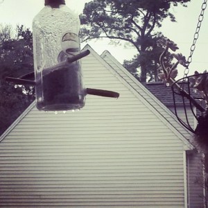 Bird feeder with ice