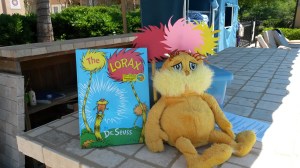My little display with The Lorax for Earth Day.